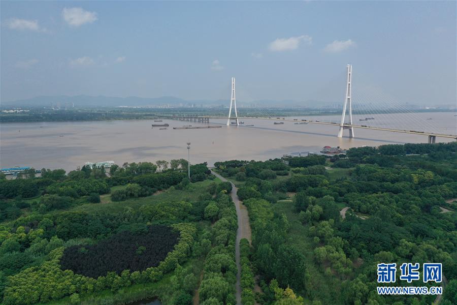 （环境）（4）南京：江边湿地绿意浓