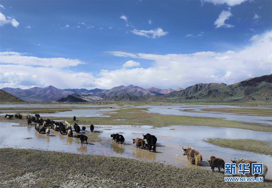 （北京世园会）（11）生态中国·醉美西藏高原情