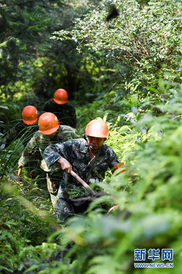 （社会）（2）高温下的劳动者：守护赣江源头