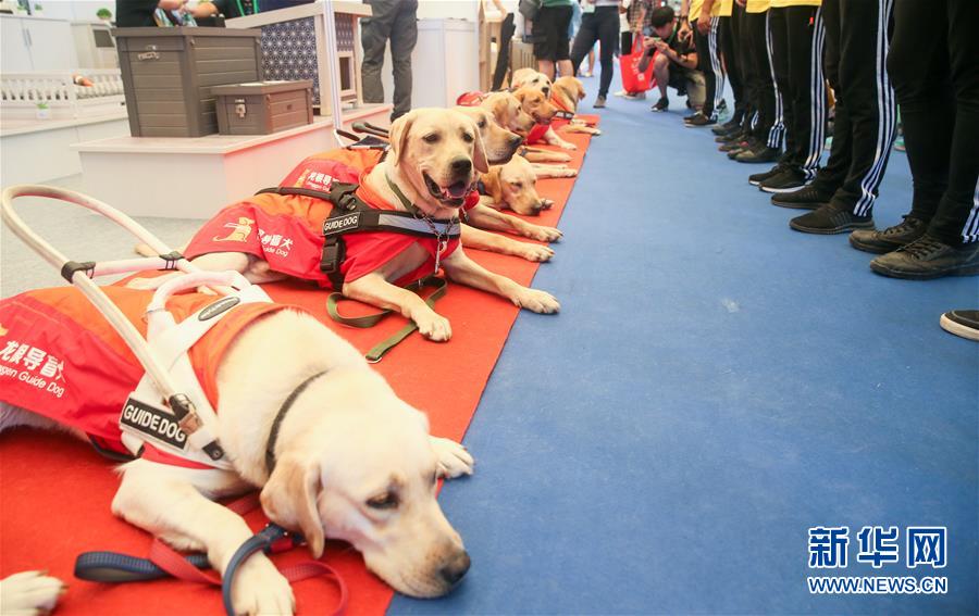 （社会）（1）第22届亚洲宠物展在上海举行