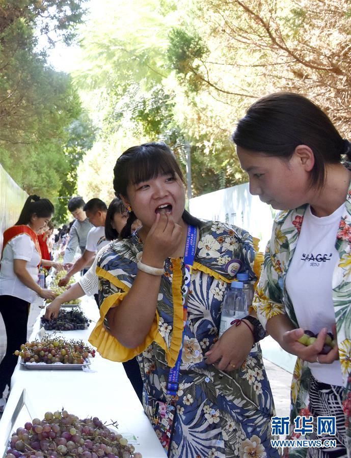 （图文互动）（2）吐鲁番葡萄节：200余种葡萄舌尖斗“甜”