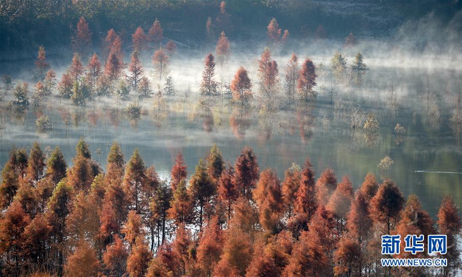 （壮丽七十年·奋斗新时代）（16）绿水青山入画来