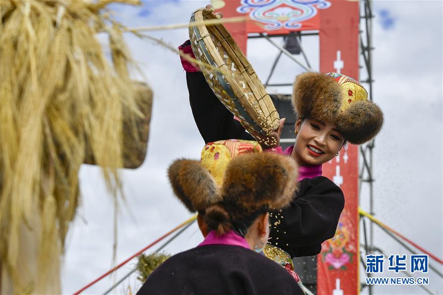 （社会）（3）西藏欢庆“丰收节”