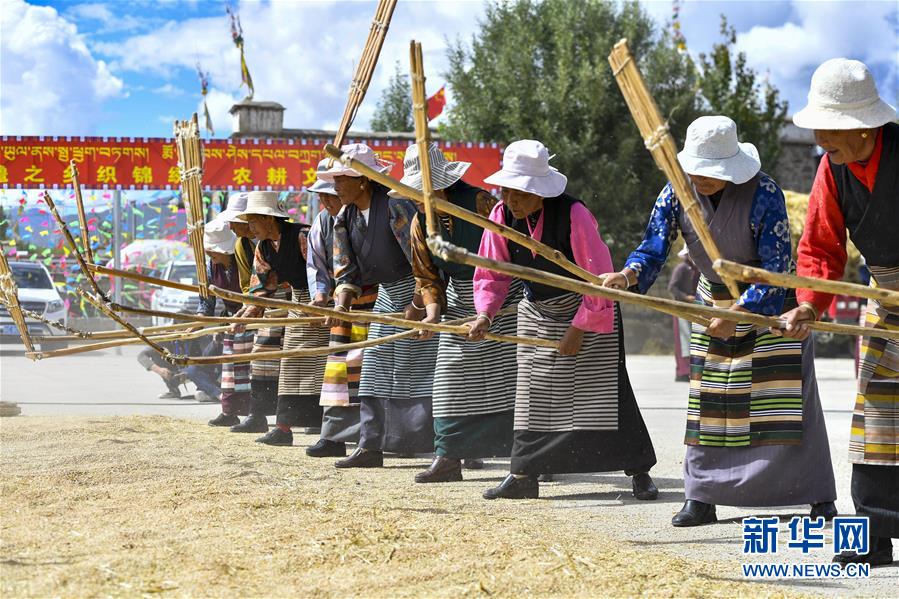 （社会）（6）西藏欢庆“丰收节”