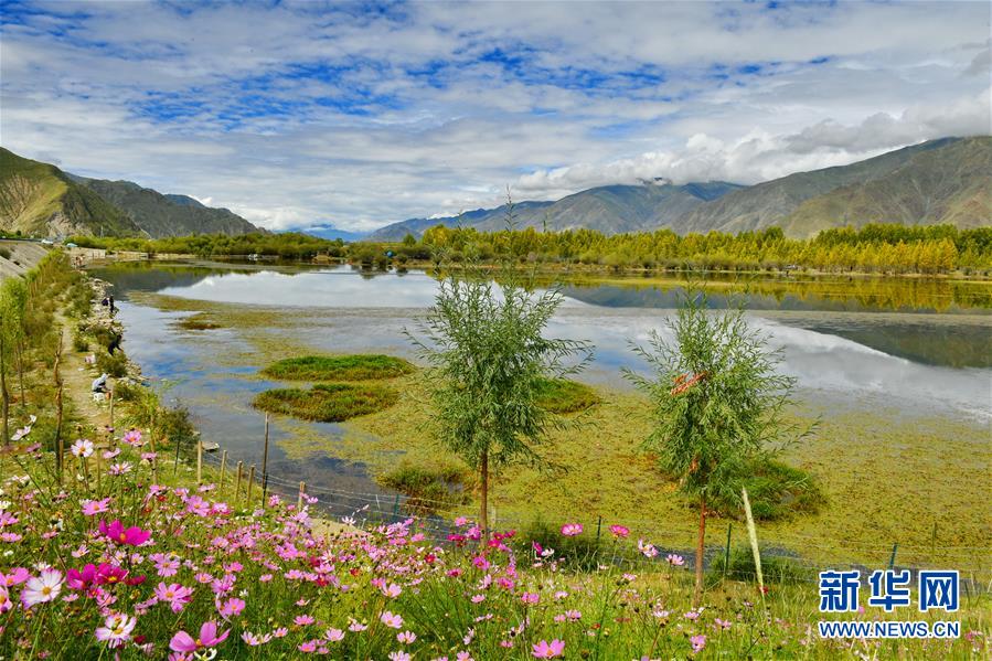 （美丽中国）（6）拉萨：金色池塘秋色美