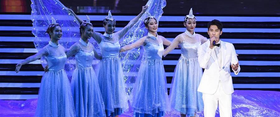（文化）（5）第21届南宁国际民歌艺术节晚会上演