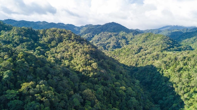 生物多样性的有力呵护——海南热带雨林国家公园正式设立