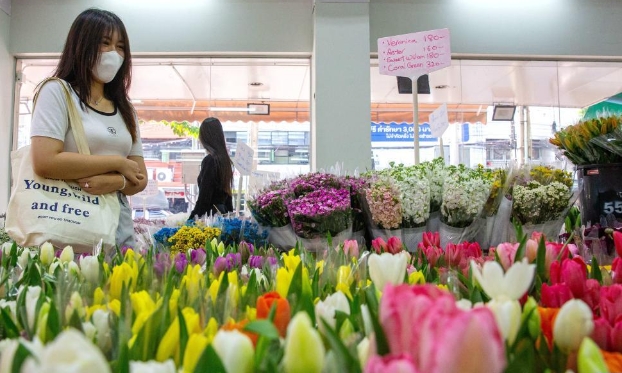 云南鲜花香飘曼谷（高清组图）