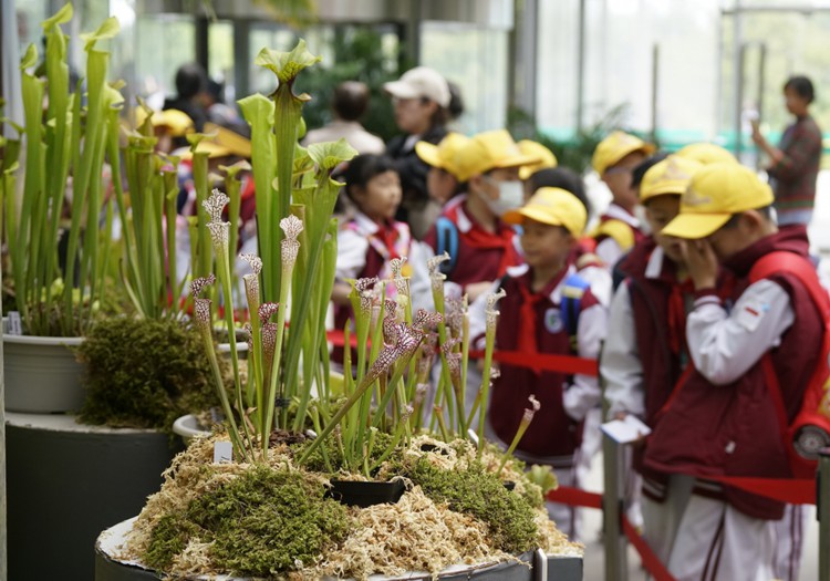 国家植物园已收集珍稀濒危植物近千种