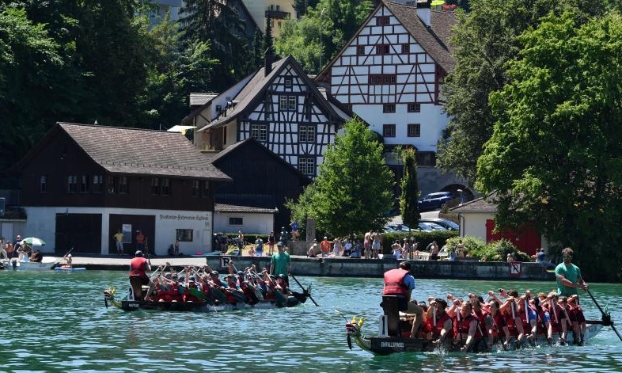 瑞士:莱茵河上赛龙舟（高清组图）