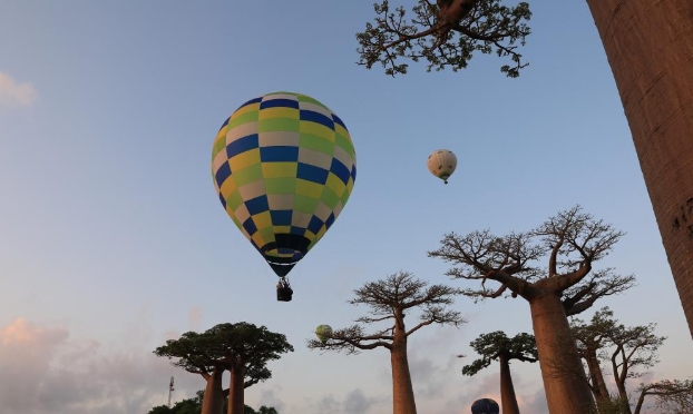 马达加斯加：猴面包树与热气球（高清组图）