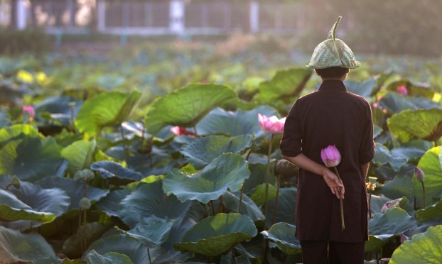 镜观世界丨河内：在“百花春城”感受千年古城的生机（高清组图）