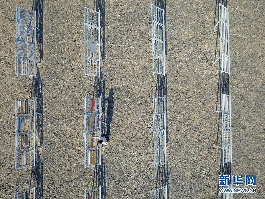 （图片故事）（3）火焰山下的“逐日人”