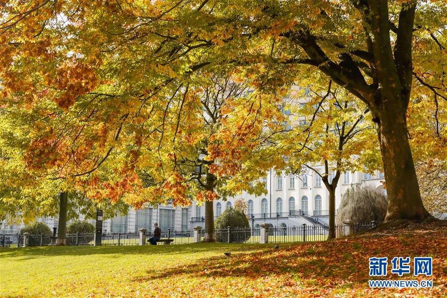 1126660655_16037261414211n.jpg (899×599)