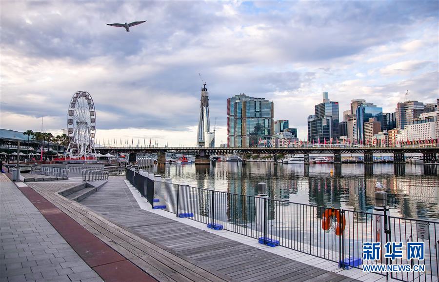 (国际)(5)寻找悉尼空中的旋律