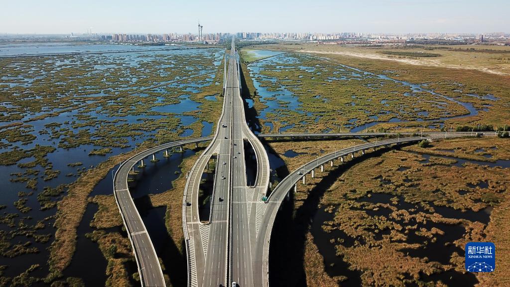 大庆湿地大桥图片