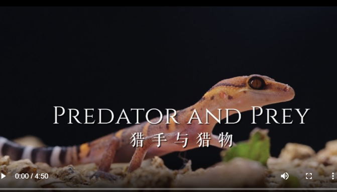 1701158938224.png 1701158938224.png