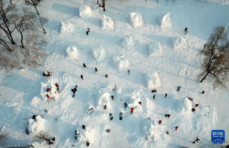 哈爾濱太陽島雪博會雪雕高手精彩過招