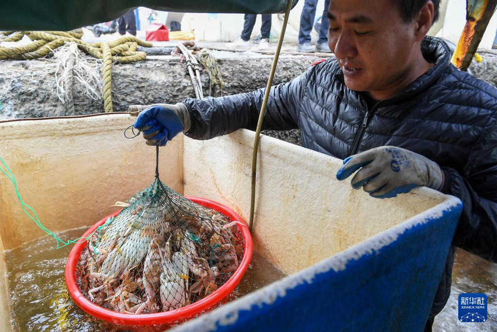 日,在深圳大鵬新區南澳雙擁碼頭,漁民準備將剛剛捕撈回來的花蟹運上岸