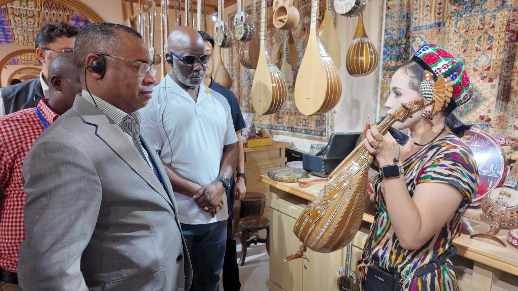 新华鲜报丨多国议员探访新疆 点赞发展活力