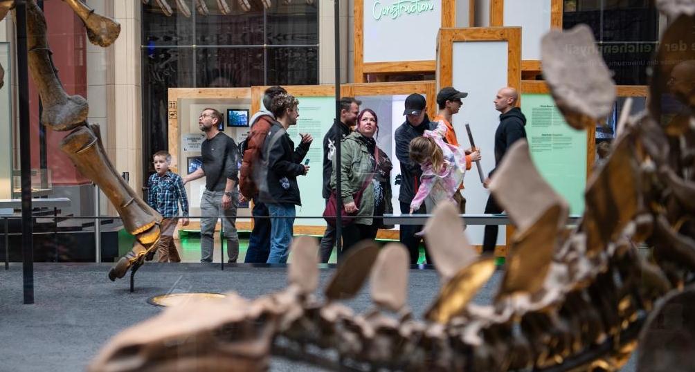 柏林：博物馆里的科学“校园”