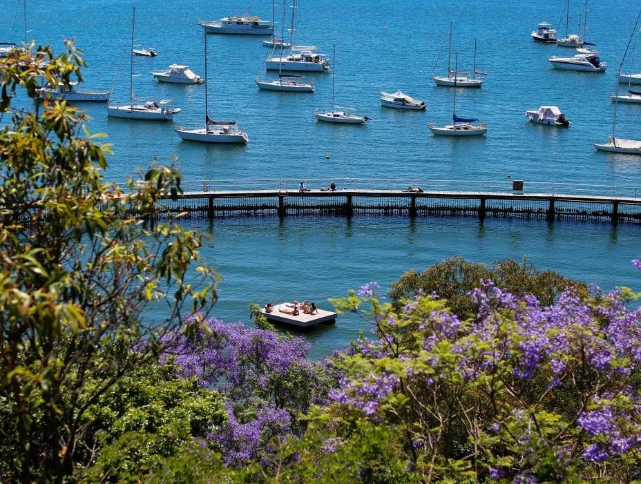 国际一周热图：2025年11月5日－2025年11月11日