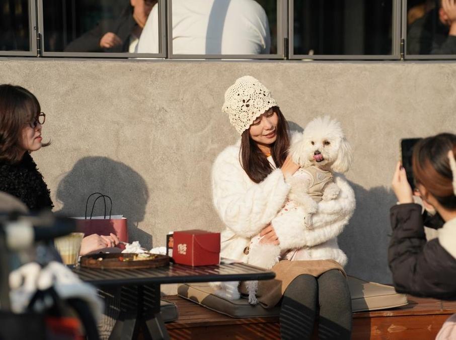 西安:老城“新社区”激发文化消费活力