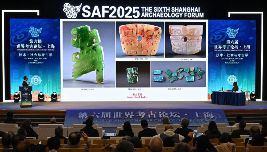 ���������翼����̳���Ϻ�����