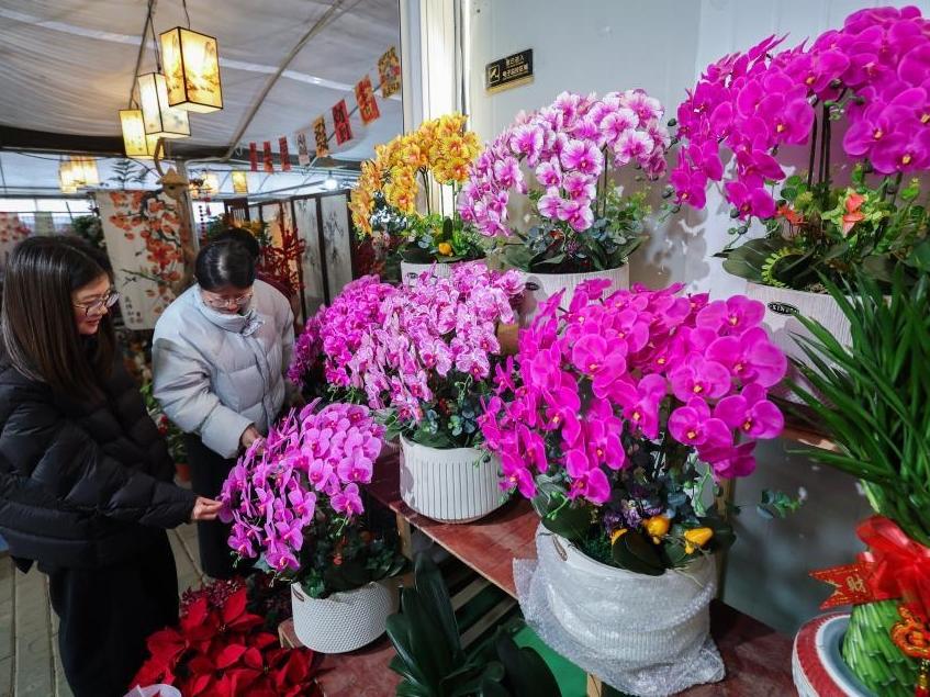 浙江绍兴：年宵花卉迎新年