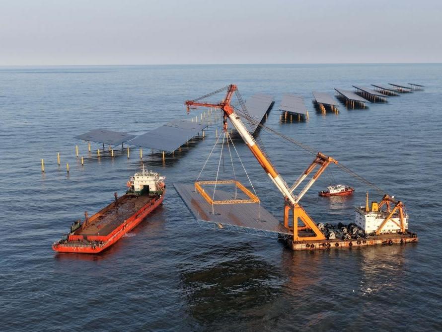 河北昌黎：海上光伏电站项目建设正酣