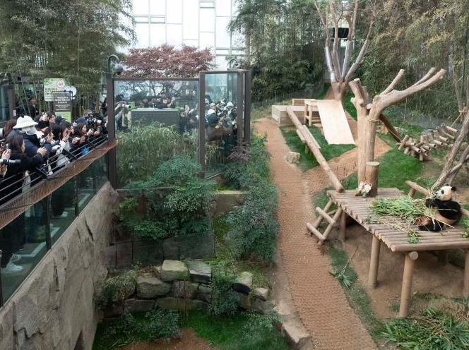 在韩国感受“中国风”