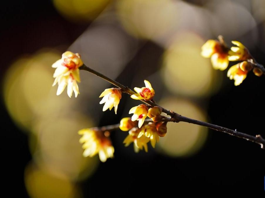 �����Է��£���ɲѰ÷