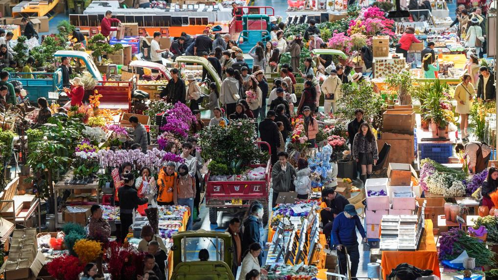 新春走基层丨“亚洲花都”年宵花走俏