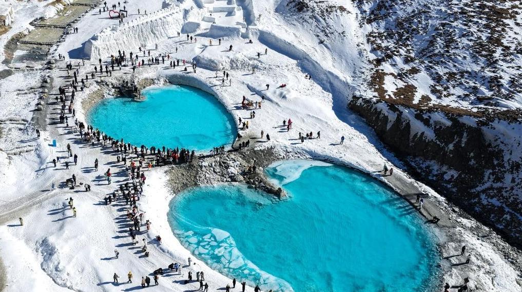 �����´�������������