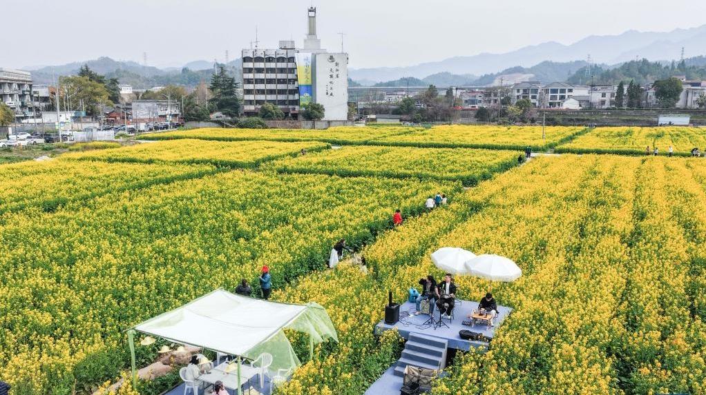 浙江建德：“以花为媒”释放“春日经济”消费新活力