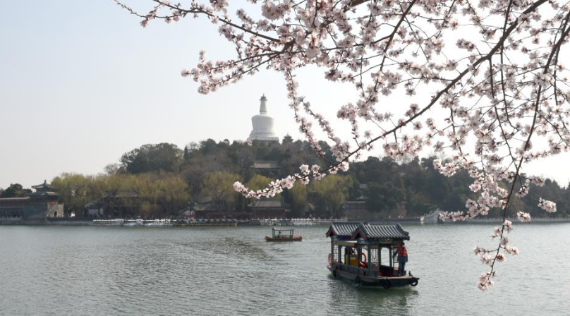 又见京城花满枝