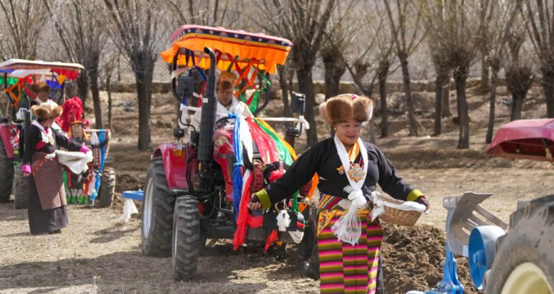 西藏农区迎来春耕大典