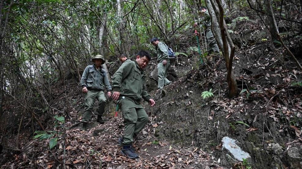 国际森林日前 跟着南岭护林员去巡山