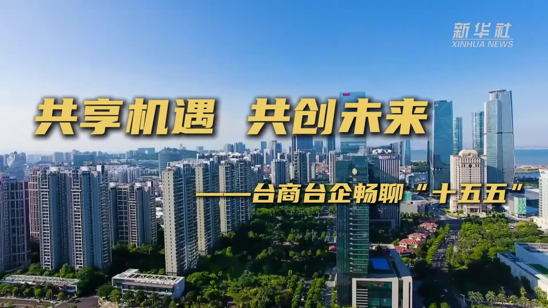 共享机遇 共筑未来——台商台企畅聊“十五五”