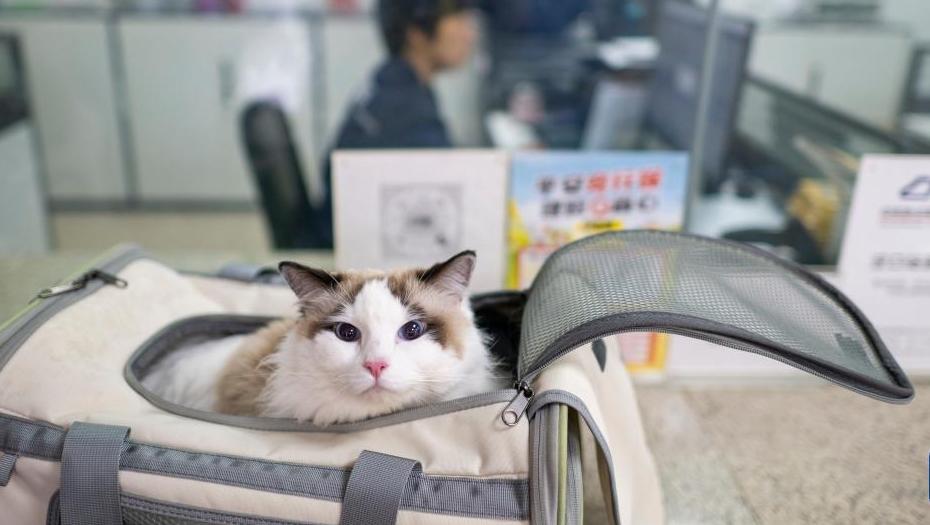 �������С����񻤺��ȳ���;