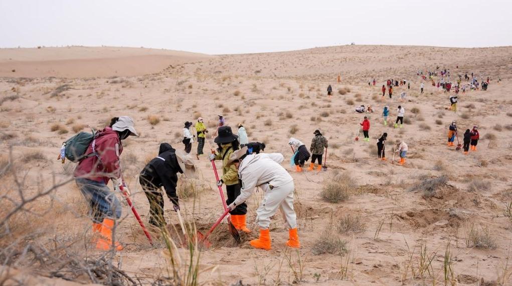 跨越山海种树护绿