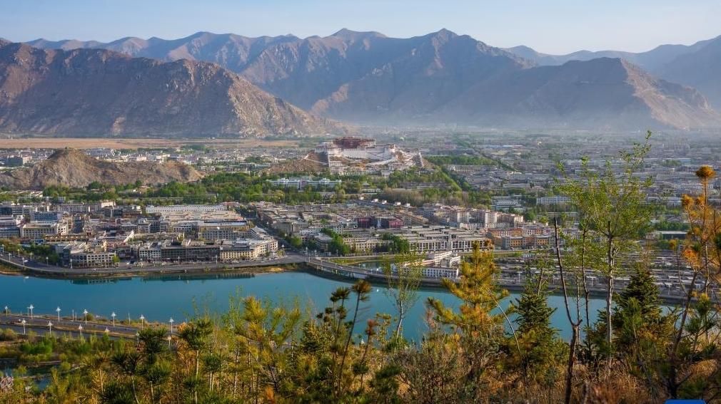 满目青绿映拉萨 南山观景正当时