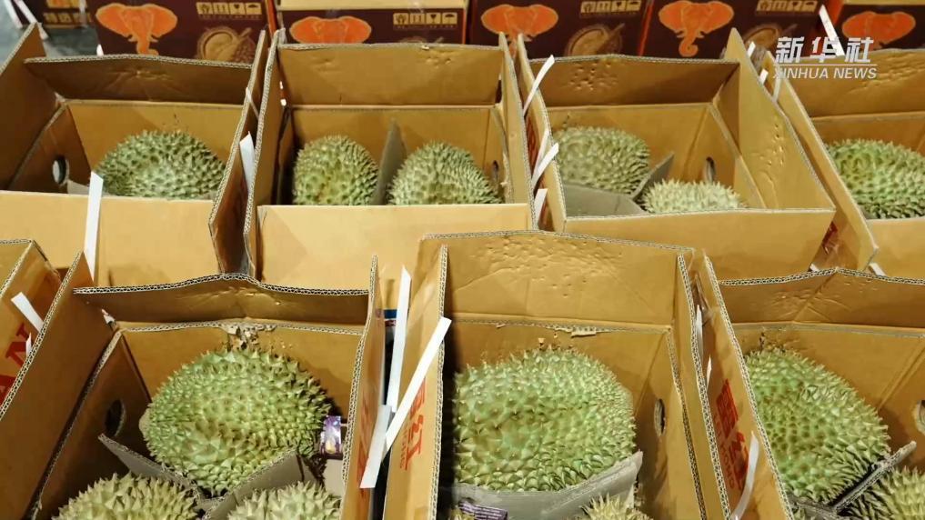前4个月云南磨憨口岸进口鲜榴莲超12万吨