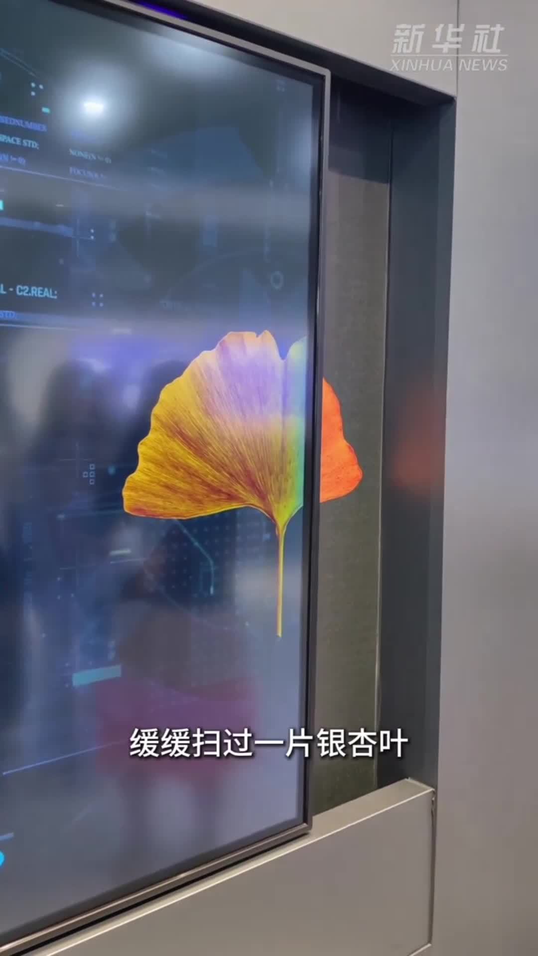 活力中国调研行丨一片银杏叶窥见技术新突破