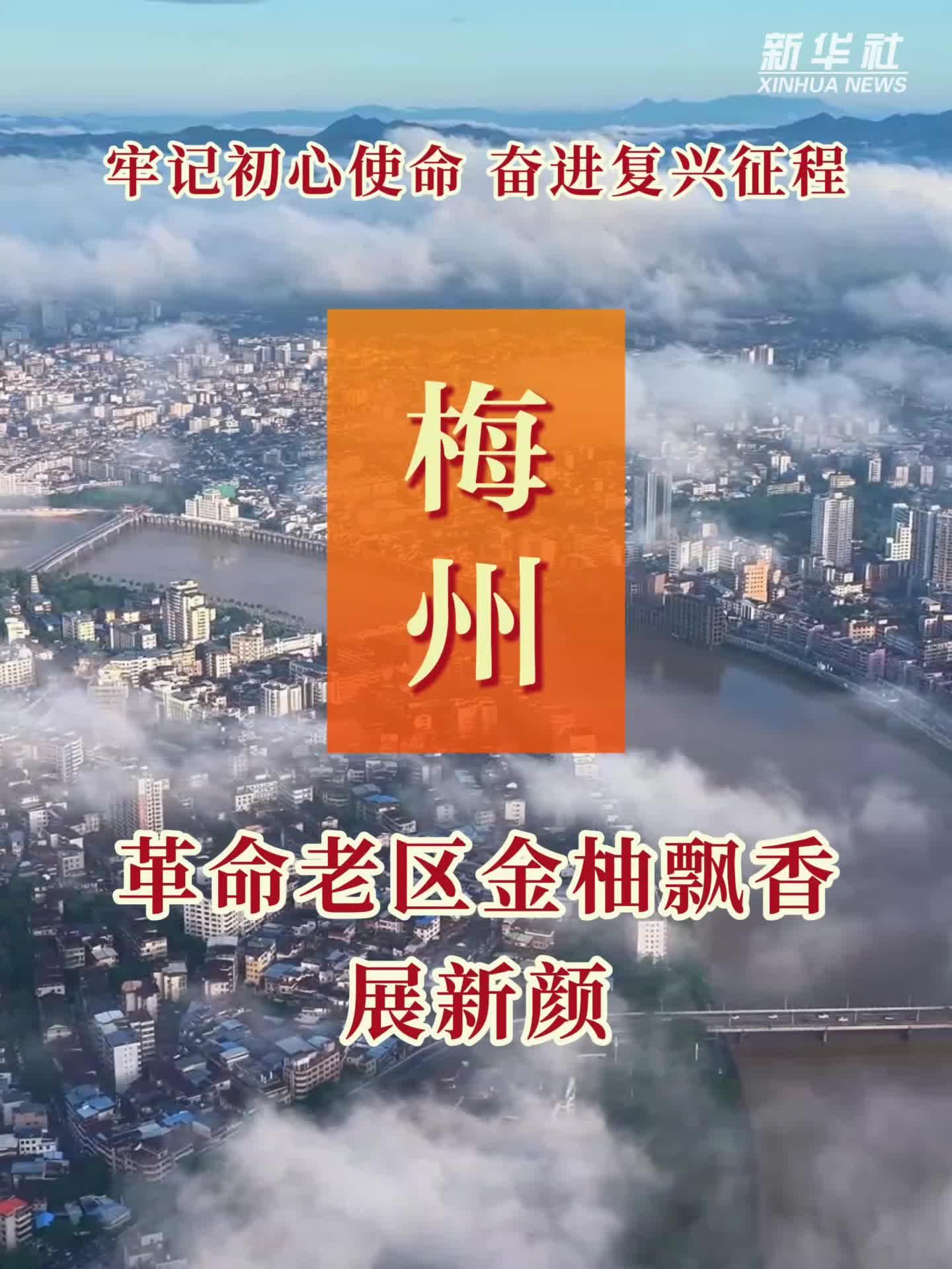 牢记初心使命 奋进复兴征程丨广东梅州：革命老区金柚飘香展新颜