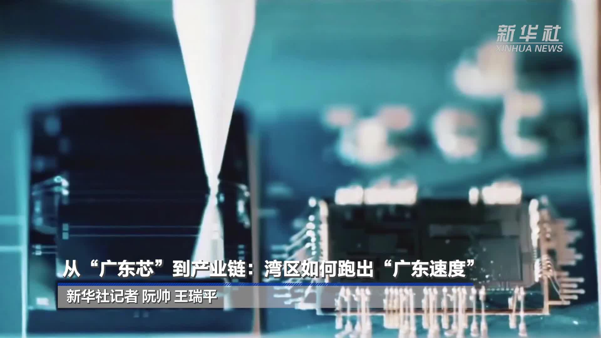 从“广东芯”到产业链：湾区如何跑出“广东速度”