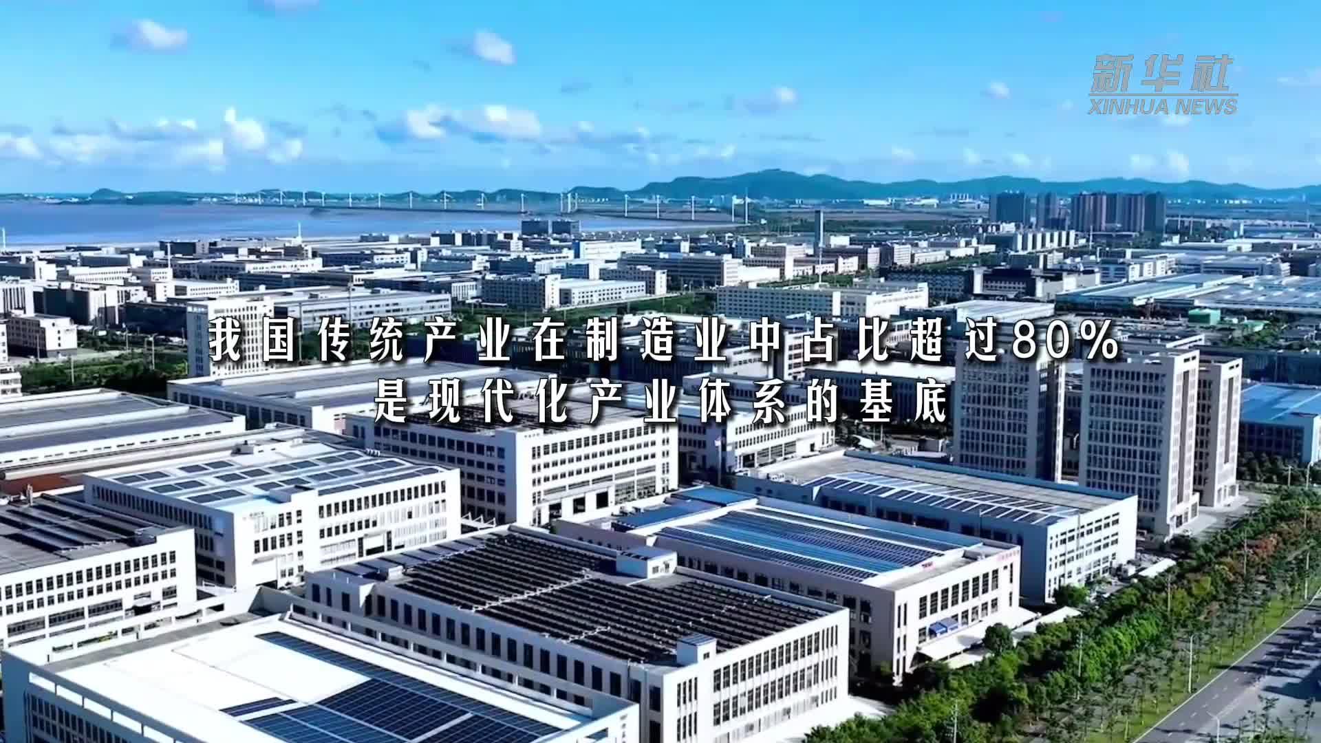产业发展开新局丨老树何以发新枝
