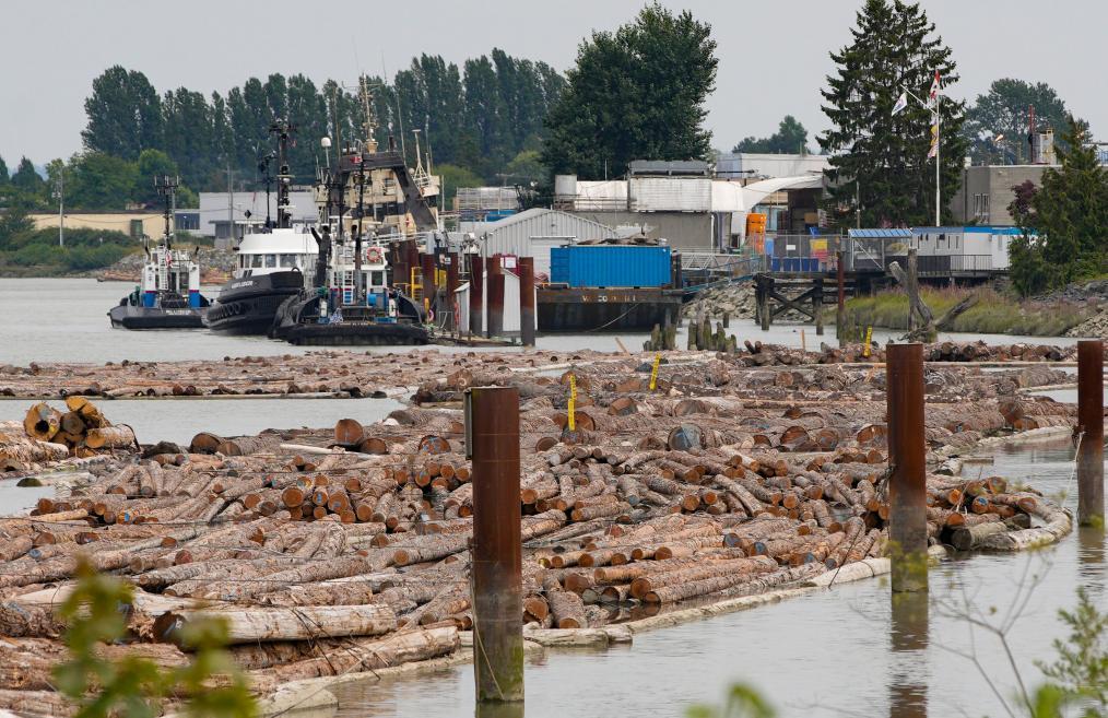 国际观察丨美“对等关税”生效　经济讹诈遭各国反对