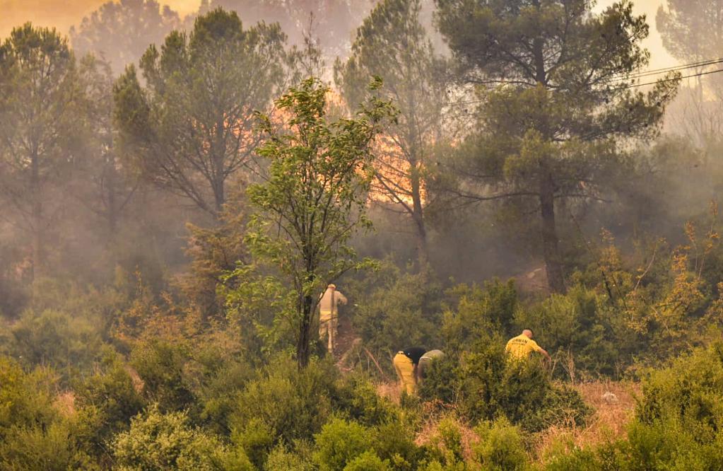 土耳其野火致达达尼尔海峡航道临时关闭