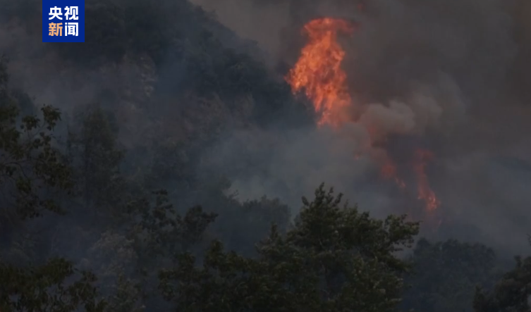 阿尔巴尼亚森林火灾持续 超20人因蓄意纵火被捕